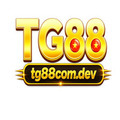 @tg88comdev1