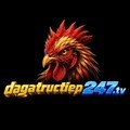 @Dagatructiep247tv1