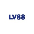 @lv88limo