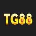 @tg88vnonline