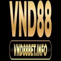 @vnd88betinfo
