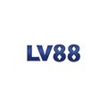 @lv88autos