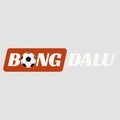 @bongdalu23io