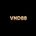 @vnd88finance