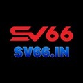 @sv66in