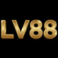 @lv88shcom