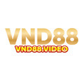 @vnd88video
