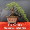 @kimsatungweb