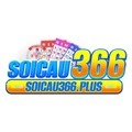 @soicau366plus1