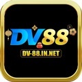 @dv88innet