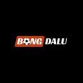 @bongdalu2026net