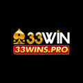 @33winspro1