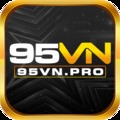 @95vnpro