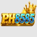 @ph8585net
