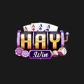 @shaywincom