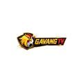 @gavangtv14com