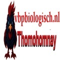 @thomohomnayvbp