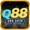 @q88skin