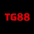 @tg88comio