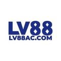 @lv8800com