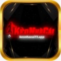 @Keonhacai11app