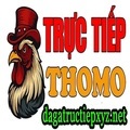 @dagatructiepxyznet