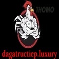 @dagatructiepluxury