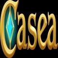 @caseapolska