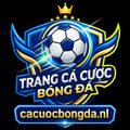 @cacuocbongdanl