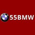 @55bmworgphtop