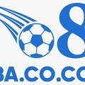 @o8acocomvn