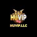 @huvipllc