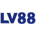 @lv88style
