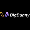 @bigbunny8netp