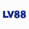 @lv88skin