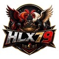 @hlx79fun