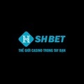 @shbetukcom1