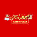 @hay88forex