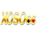 @xoso66press