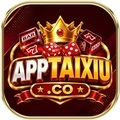 @apptaixiuco1