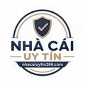 @nhacaiuytin266