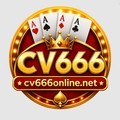 @cv666online