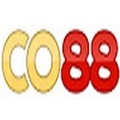 @co88kanecom