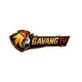 @gavangtvicu