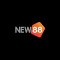 @enew88com11