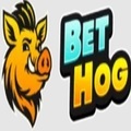 @bethoguk