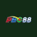 @pbc88pcom