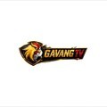 @gavangtvplus