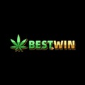 @bestwin