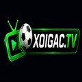 @xoigacpro